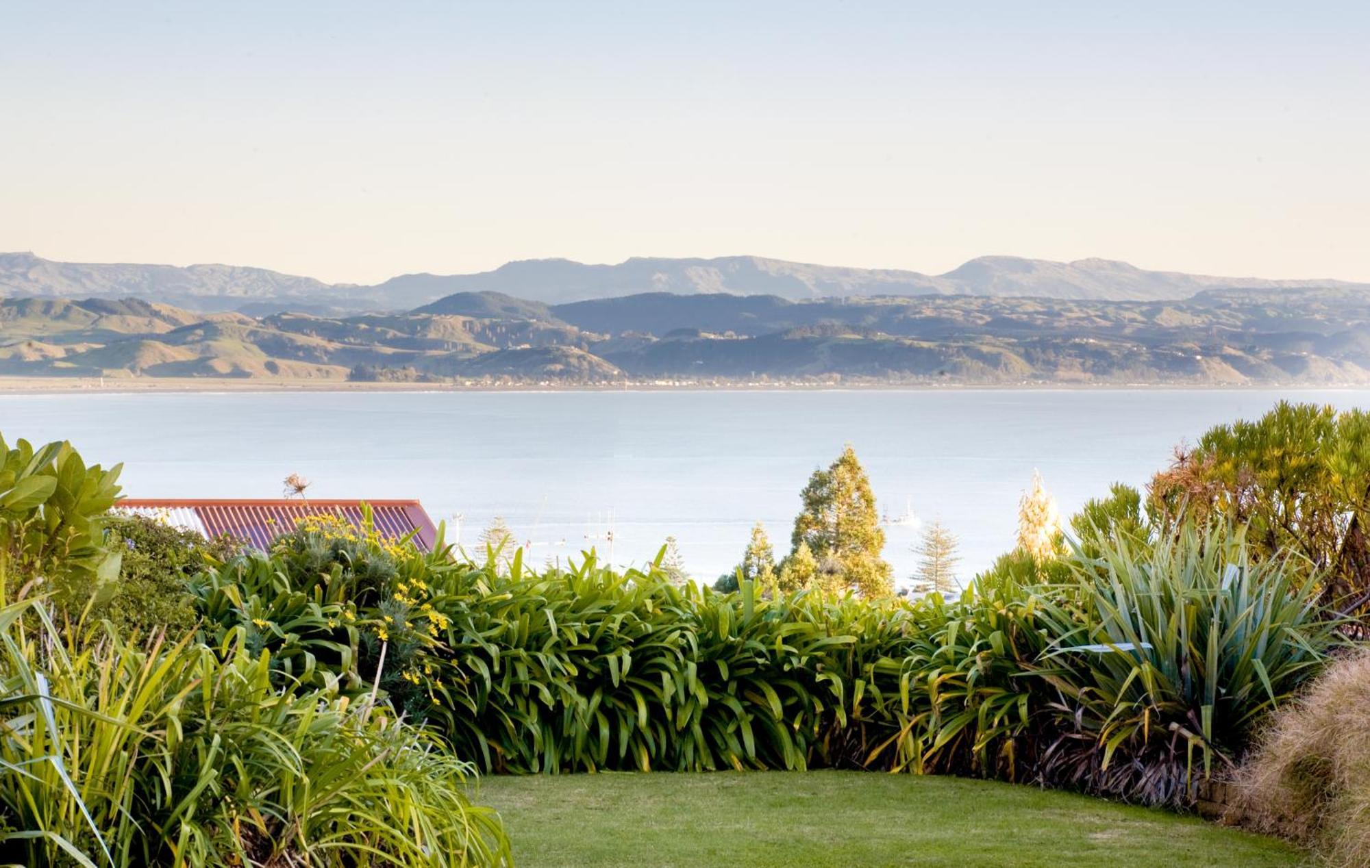 Mchardy Lodge Napier Exteriér fotografie